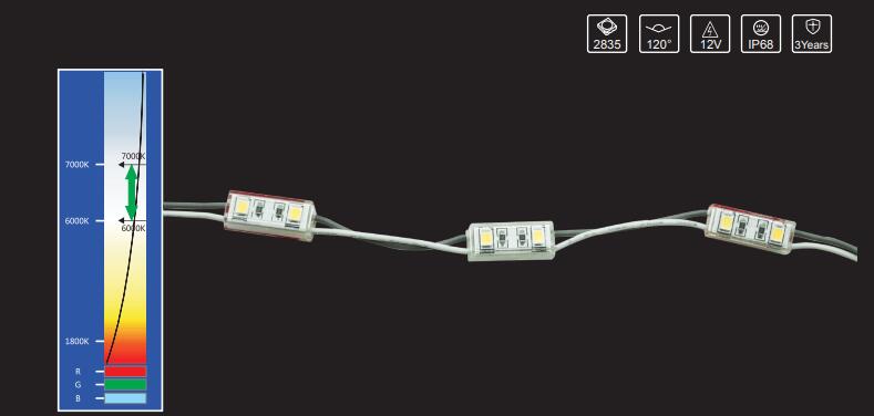 PJ Series mini LED module